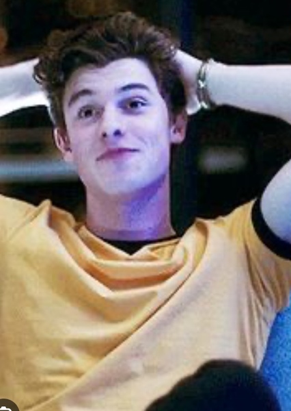 Shawn Mendes photo