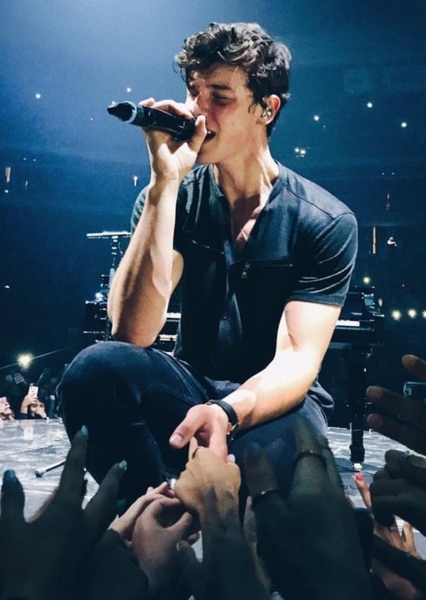 Shawn Mendes photo