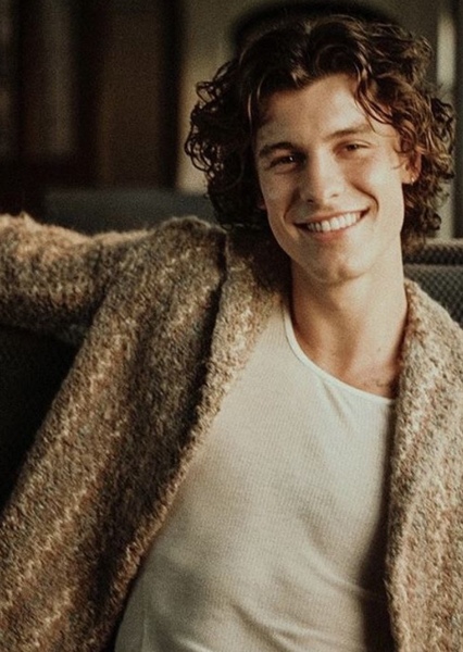 Shawn Mendes photo