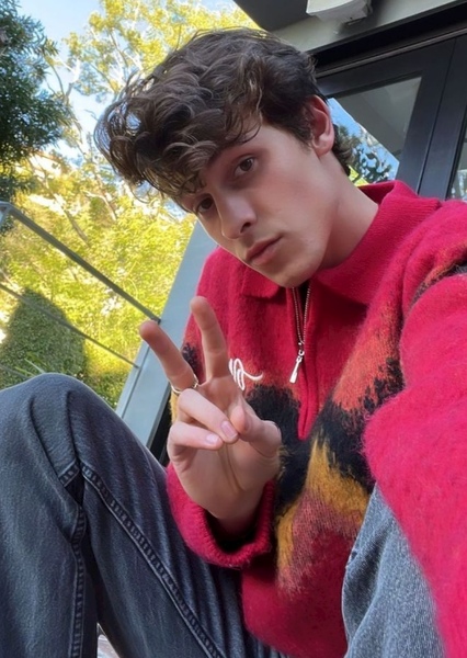 Shawn Mendes photo