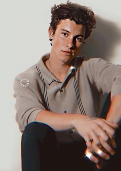 Shawn Mendes photo