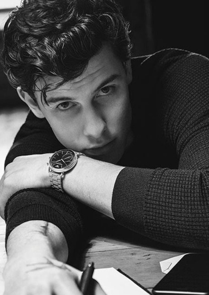 Shawn Mendes photo
