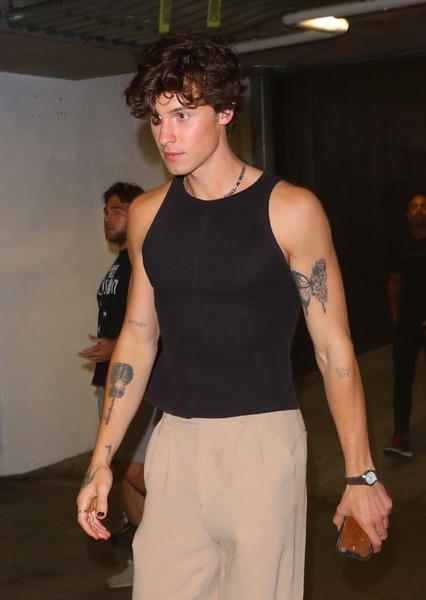 Shawn Mendes photo
