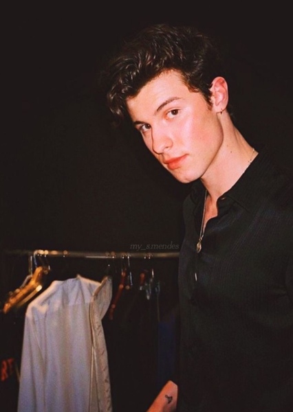 Shawn Mendes photo