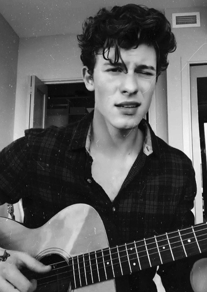 Shawn Mendes photo