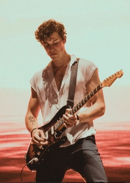 Shawn Mendes photo
