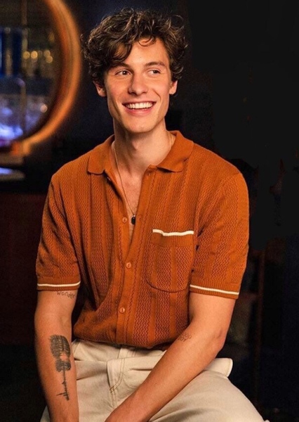 Shawn Mendes photo