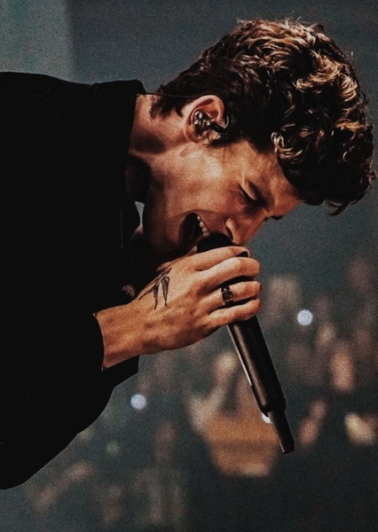 Shawn Mendes photo