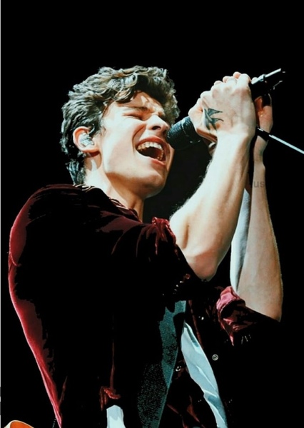 Shawn Mendes photo