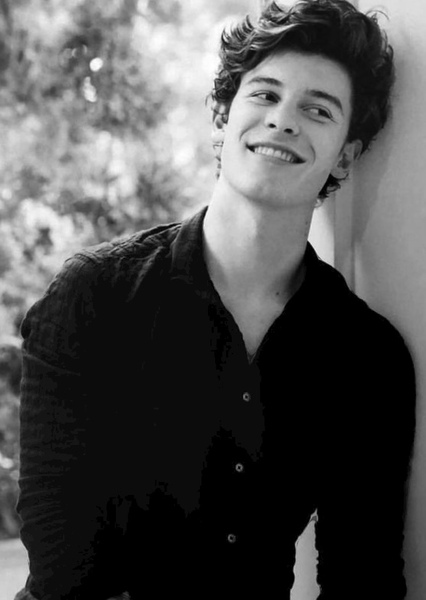 Shawn Mendes photo