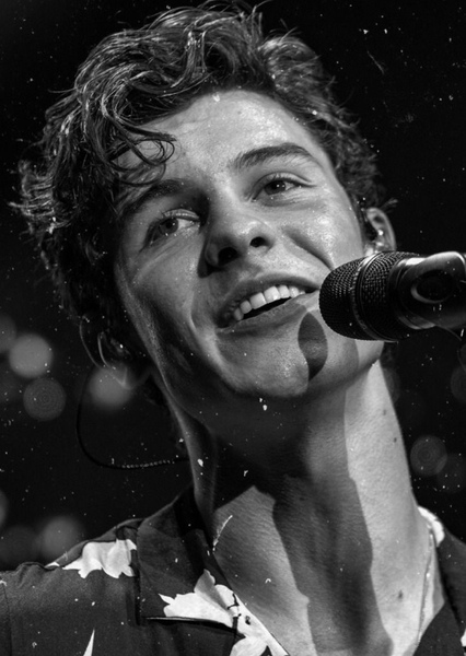 Shawn Mendes photo