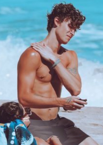 Shawn Mendes photo
