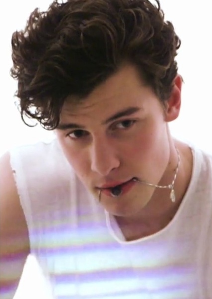 Shawn Mendes photo