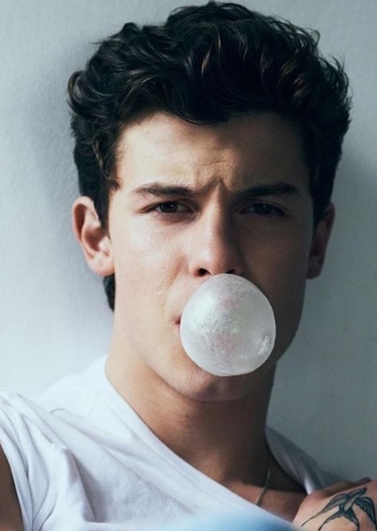 Shawn Mendes photo