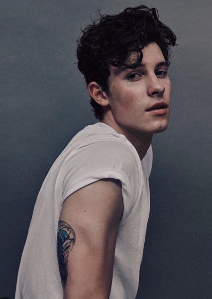Shawn Mendes