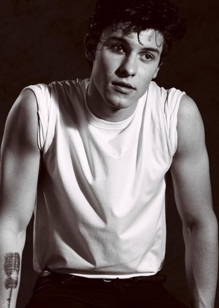 Shawn Mendes photo