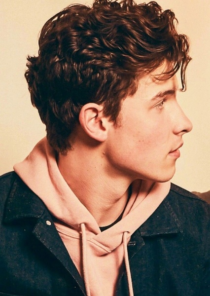 Shawn Mendes photo