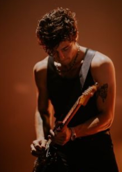 Shawn Mendes photo