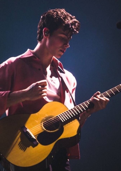 Shawn Mendes photo