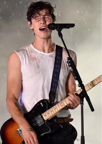 Shawn Mendes photo