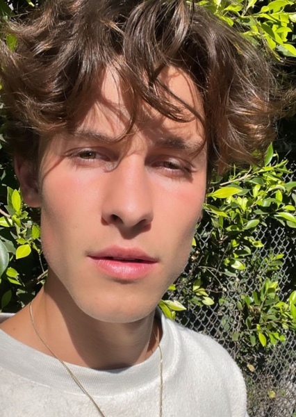 Shawn Mendes photo