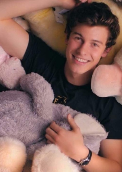 Shawn Mendes photo