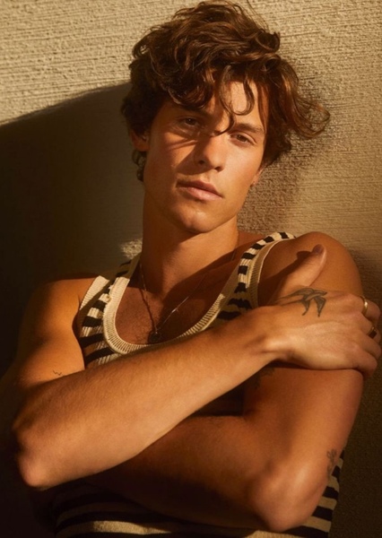 Shawn Mendes photo
