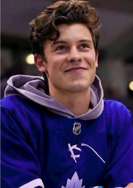 Shawn Mendes photo
