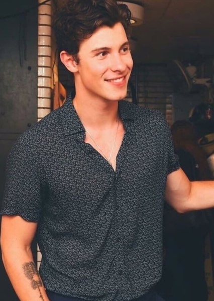Shawn Mendes photo