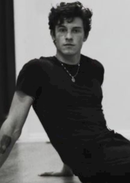 Shawn Mendes photo