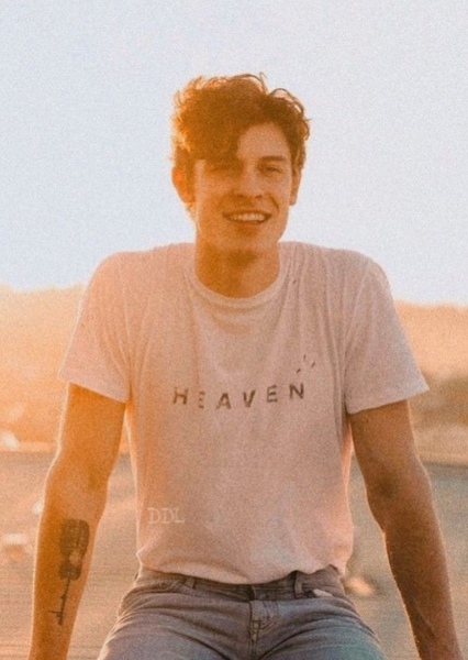 Shawn Mendes photo