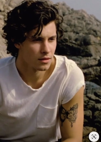 Shawn Mendes photo