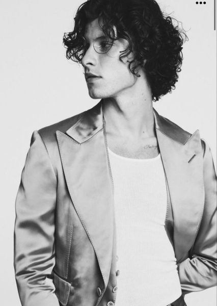 Shawn Mendes photo
