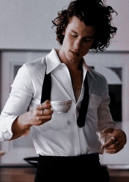 Shawn Mendes photo