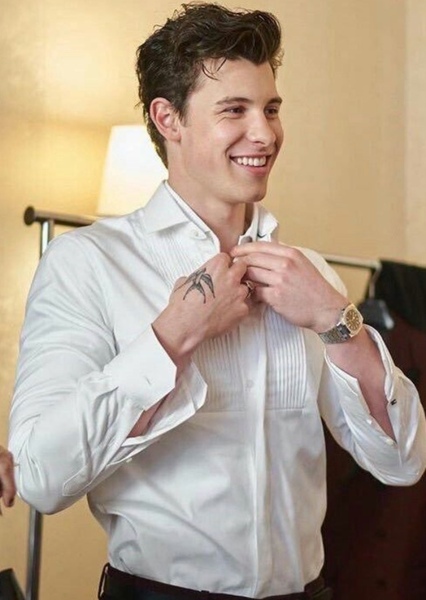 Shawn Mendes photo