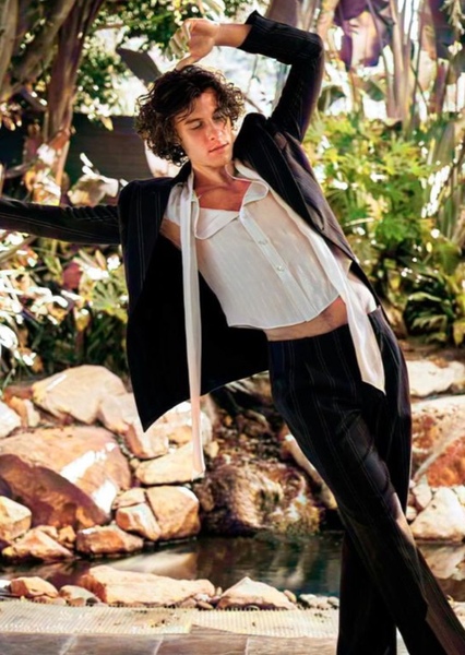 Shawn Mendes photo