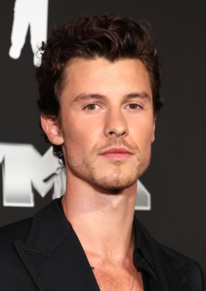 Shawn Mendes photo