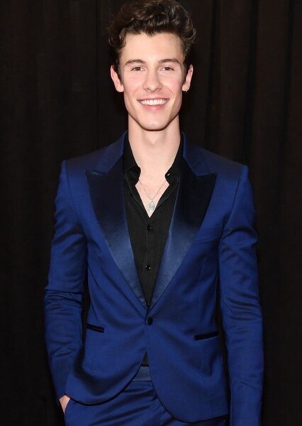 Shawn Mendes photo