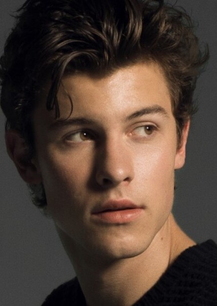 Shawn Mendes photo