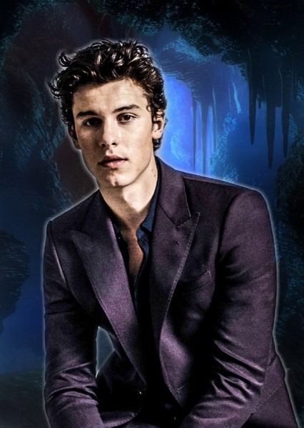 Shawn Mendes photo