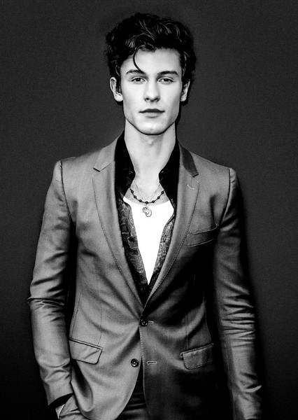 Shawn Mendes photo