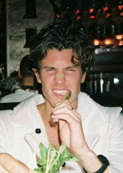 Shawn Mendes photo