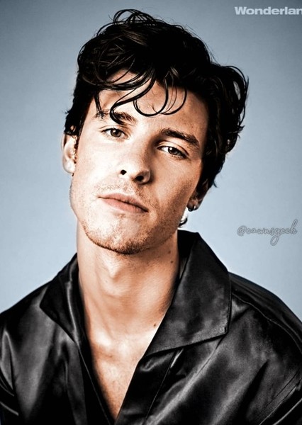 Shawn Mendes photo