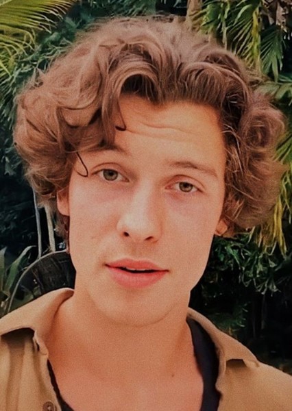 Shawn Mendes photo