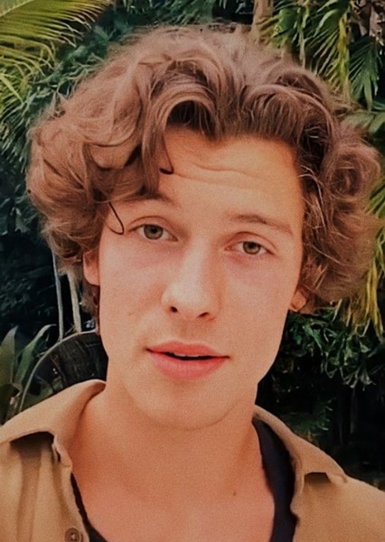 Shawn Mendes photo