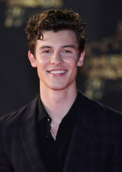 Shawn Mendes photo