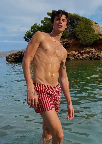 Shawn Mendes photo