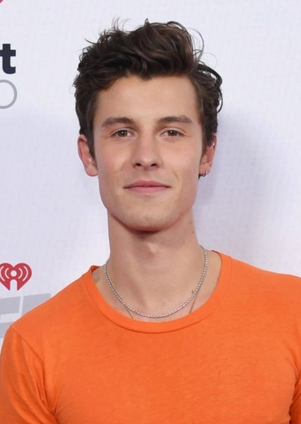 Shawn Mendes photo