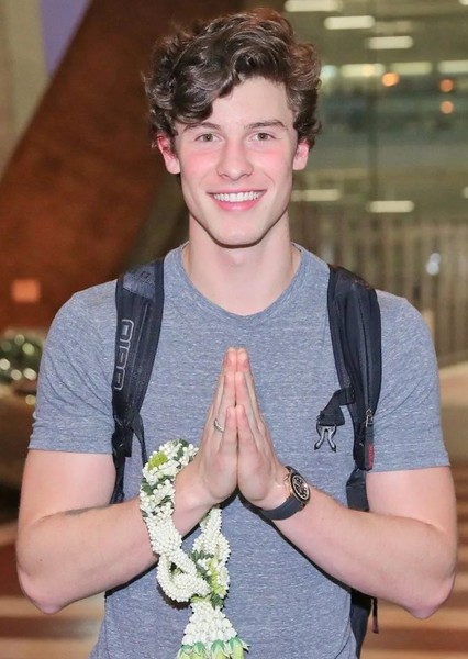 Shawn Mendes photo