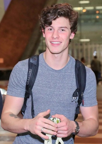Shawn Mendes photo